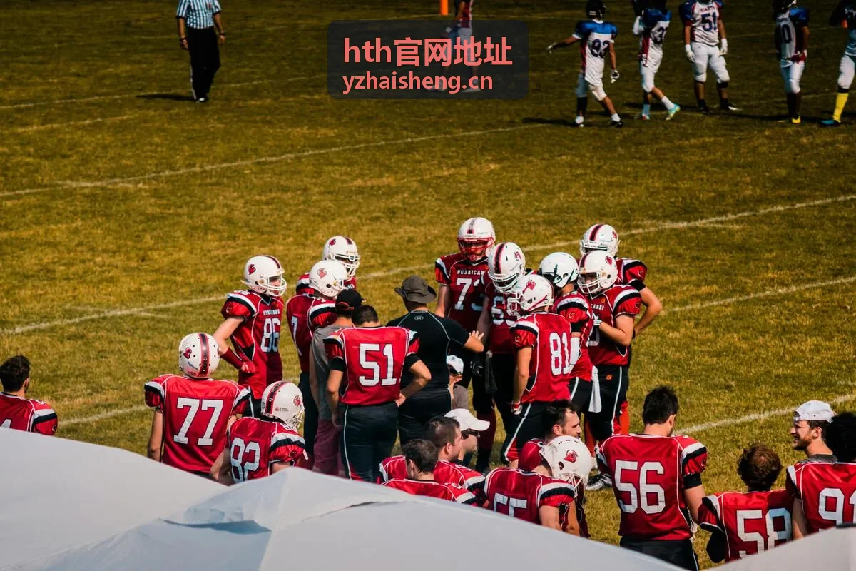 hth官网地址查询与入口核对示意
